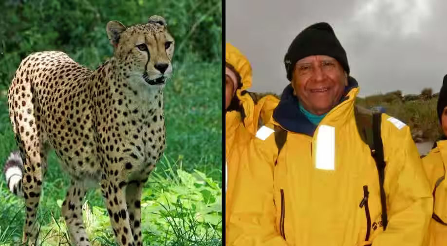 Dr MK Ranjitsinh Jhala is a wildlife and nature conservationist from India