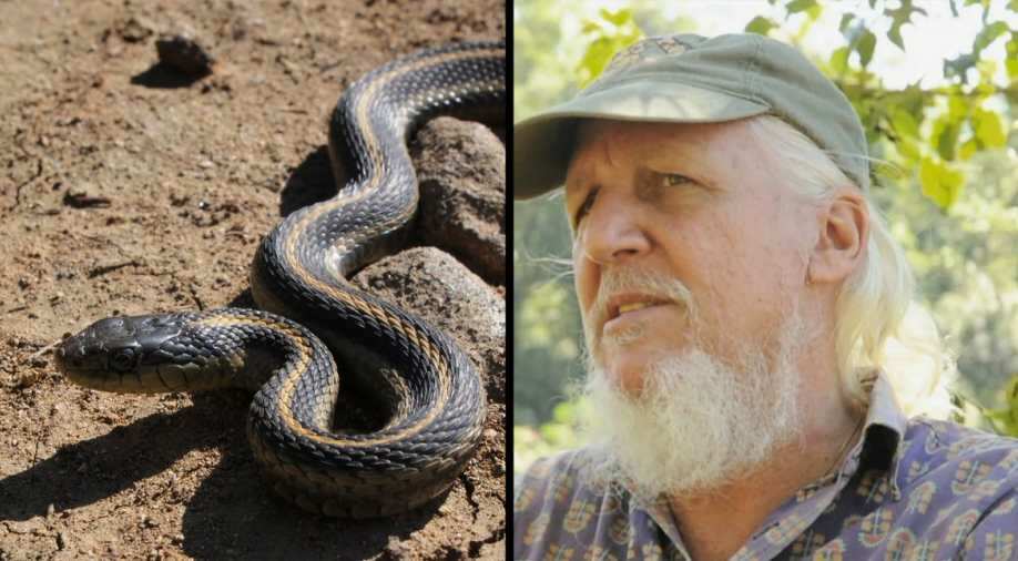Romulus Earl Whitaker is a herpetologist, wildlife conservationist