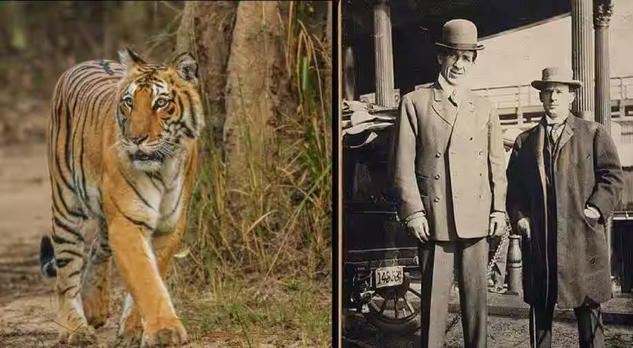 ard James Corbett was a British hunter, turned conservationist